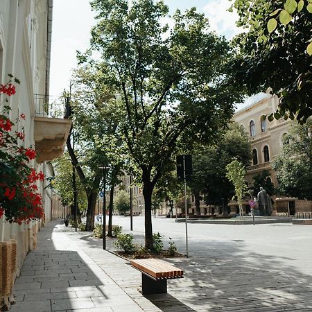 Contessa Central Studio Cluj-Napoca Exterior photo